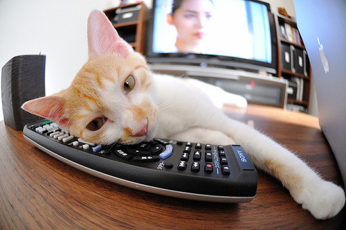 开云APP-钢铁之躯！拉亚一战封神，日本险胜委内瑞拉背后的归化史诗